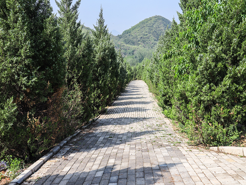 北京景仰园能选墓吗？景仰园路线